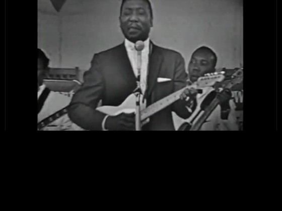 Muddy Waters