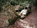 Plane crash in jungle